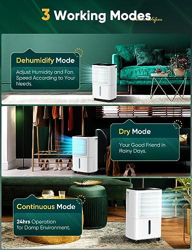 12L/Day Dehumidifiers for Home Damp, Dehumidifier