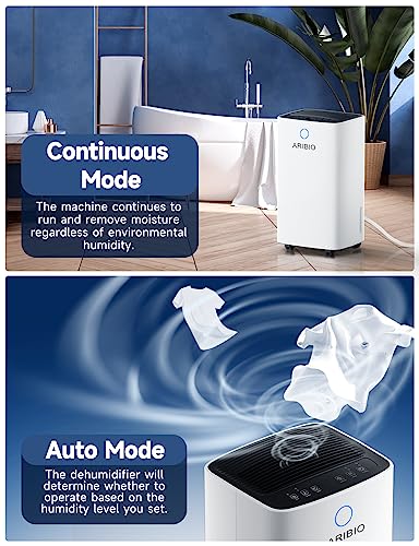 12L/Day Dehumidifier with Digital Humidity Display & Control