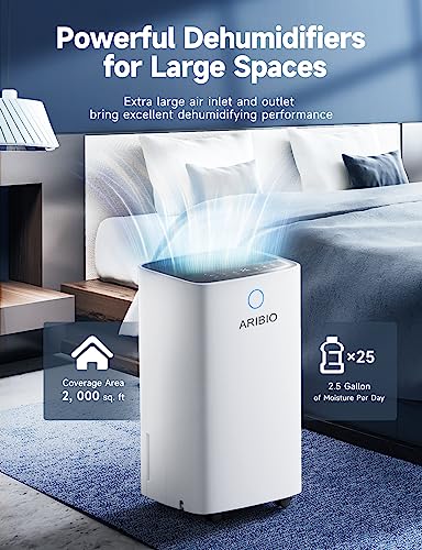 12L/Day Dehumidifier with Digital Humidity Display & Control