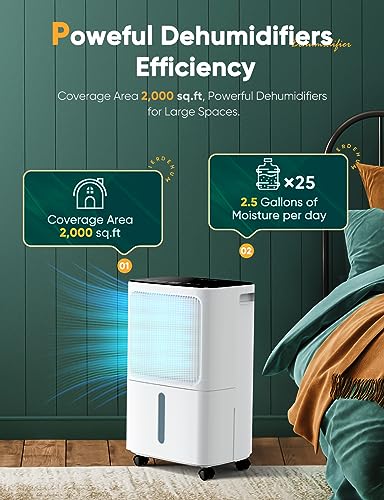 12L/Day Dehumidifiers for Home Damp, Dehumidifier