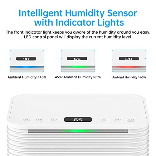 Hangsun 12L Dehumidifier with Digital Humidity Display, Sleep Mode