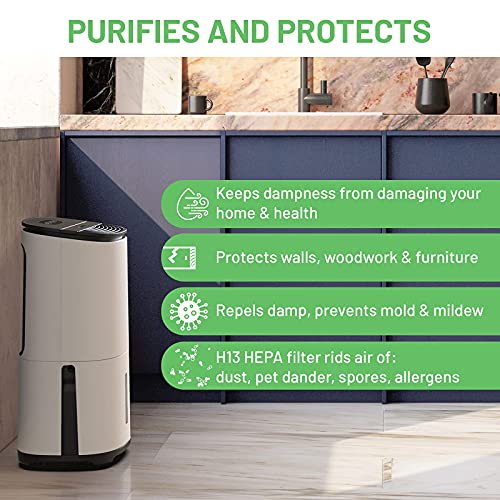 MeacoDry Arete® One 25L Dual Dehumidifier & HEPA Air Purifier