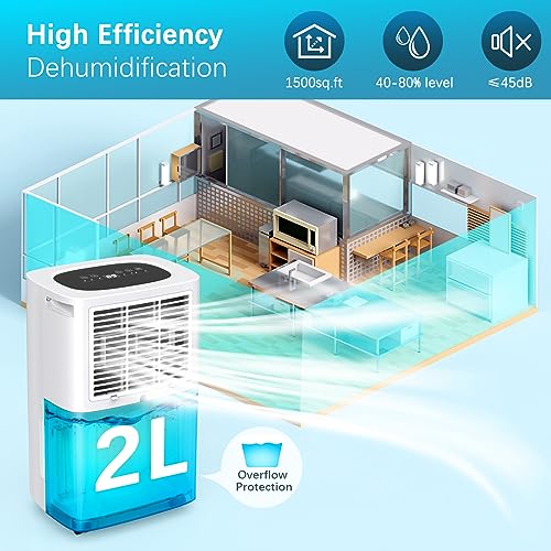 10L/Day Dehumidifiers for Home 2.5L Watertank