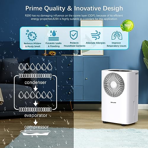 10L/Day Dehumidifiers for Home 2.5L Watertank