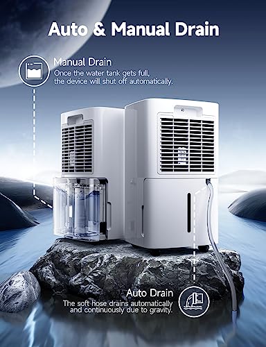 12L/Day Dehumidifier with Digital Humidity Display & Control