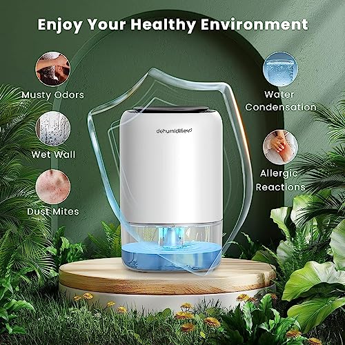 Dehumidifiers for Bathroom - Kitette Electric Dehumidifier for Bathroom