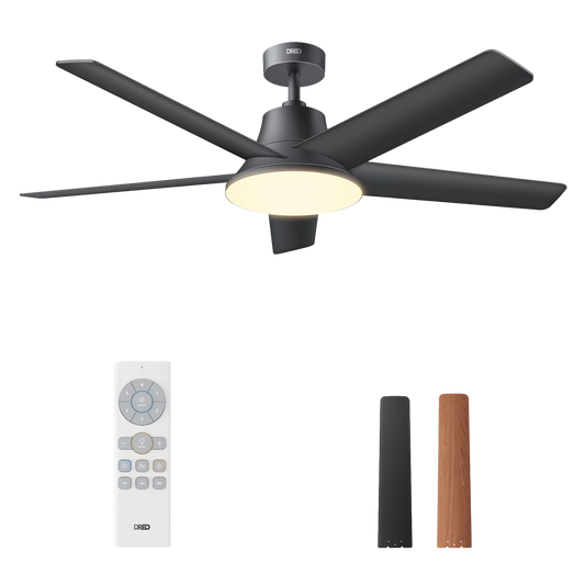 Ceiling Fan CLF521